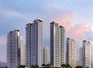 正黄·金域名邸